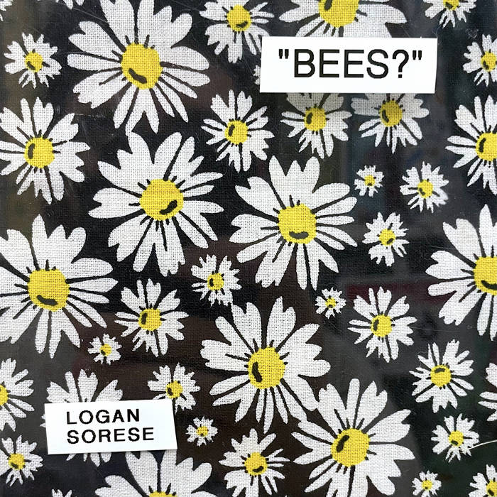 Chef John / Bees?